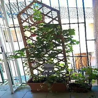 *** Guest house Boulevard City Panzio - Self Check-In Budapest Hungary